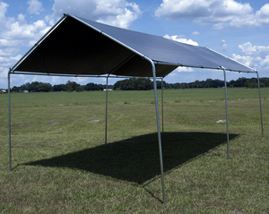 12X30 Standar Top Only chose 12 or 16 mil (Fits 10 x 30 Canopy) NO FRAME
