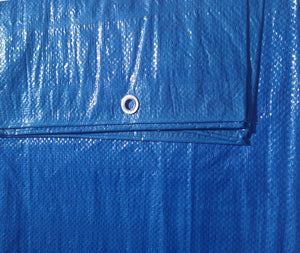 8X10  Economy Duty blue poly tarp